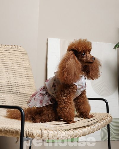 Pet Fashion Сукня для собак "Amelia"