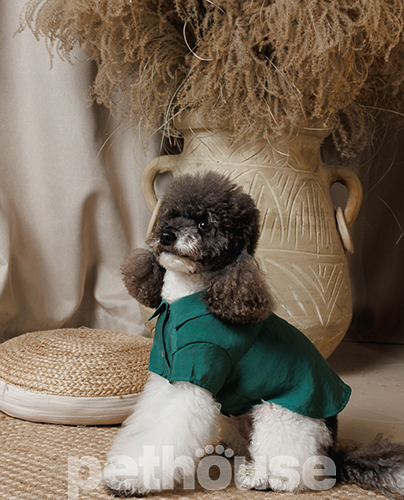 Pet Fashion Сорочка "Seaman" для собак