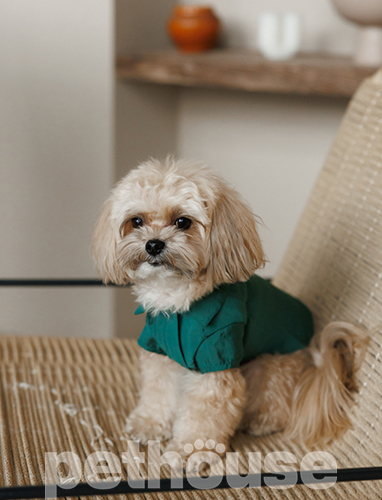 Pet Fashion Сорочка "Seaman" для собак
