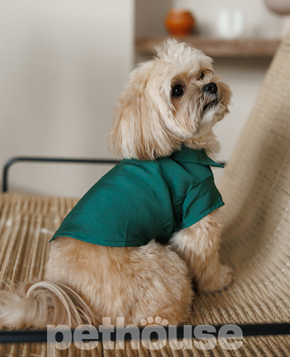 Pet Fashion Сорочка "Seaman" для собак