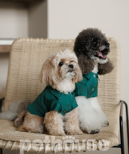 Pet Fashion Сорочка "Seaman" для собак