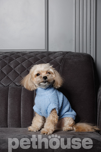 Pet Fashion Светер "Ball" для собак