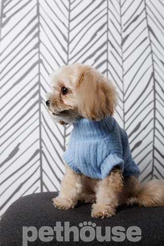 Pet Fashion Светер "Ball" для собак