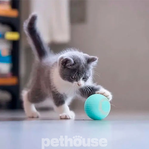 Petgravity Мяч интерактивный для кошек