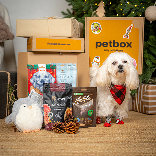 Christmas Small Breed Box