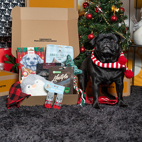 Christmas Small Breed Box Christmas Small Breed Box