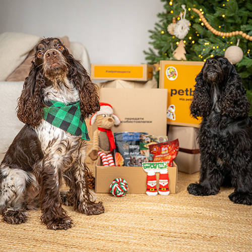 Christmas Medium Breed Box