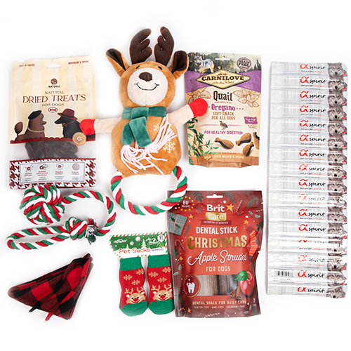 Christmas Large Breed Box Christmas Large Breed Box