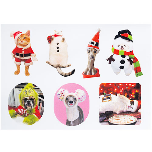 Christmas Large Breed Box Christmas Large Breed Box