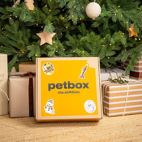 Christmas Large Breed Box