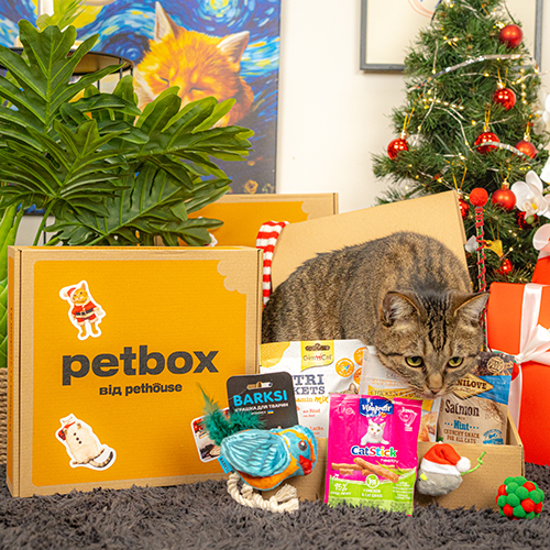 Christmas Cat Box Christmas Cat Box