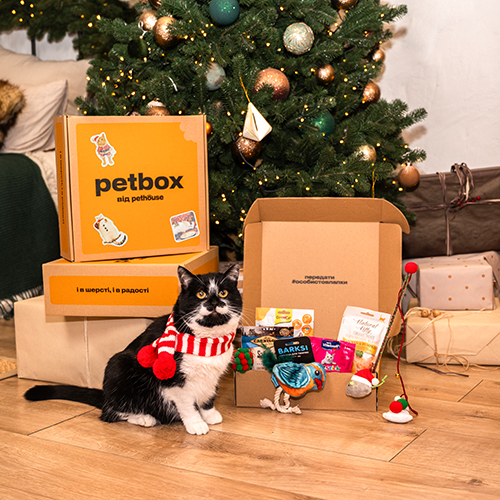 Christmas Cat Box Christmas Cat Box