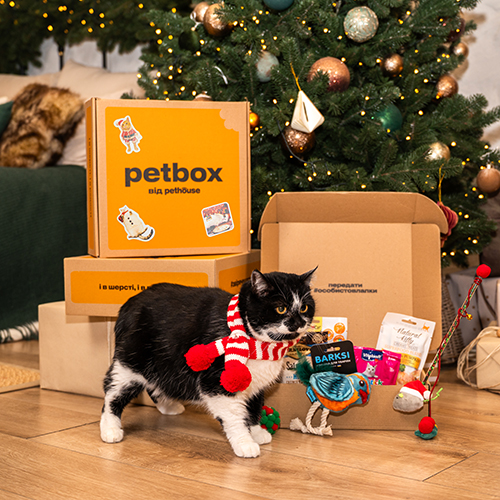 Christmas Cat Box Christmas Cat Box