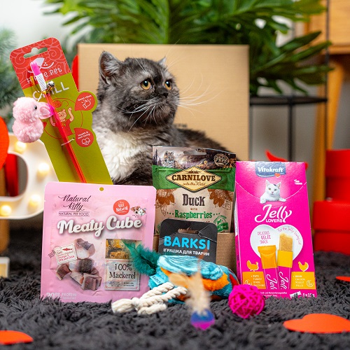 Valentine's Day Cat Box