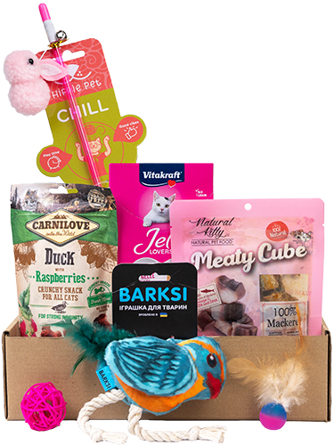 Valentine's Day Cat Box