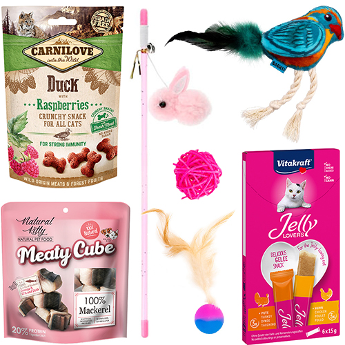 Valentine's Day Cat Box