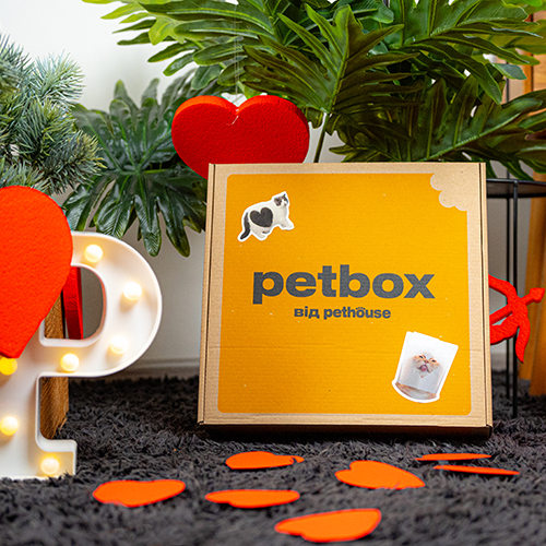 Valentine's Day Cat Box