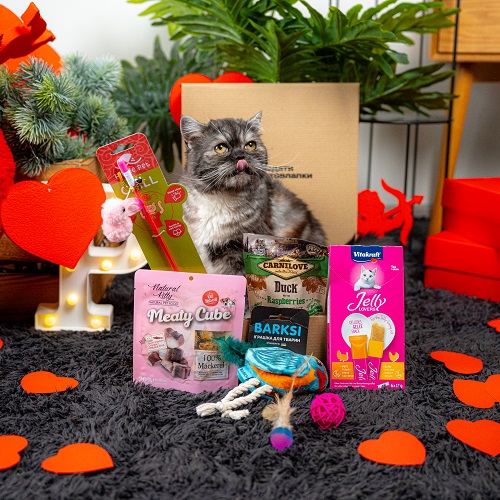 Valentine's Day Cat Box