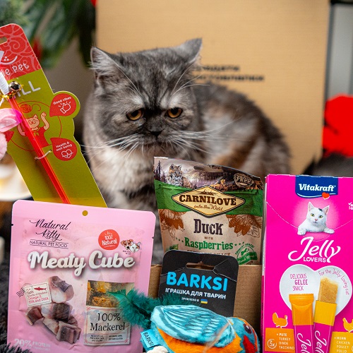 Valentine's Day Cat Box