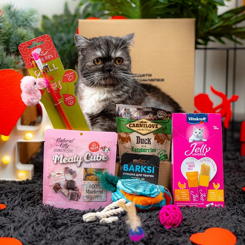 Valentine's Day Cat Box