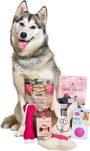 Valentine's Day Large Breed Box