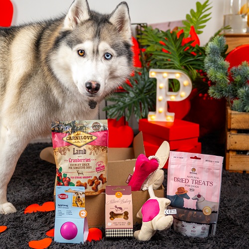 Valentine's Day Large Breed Box