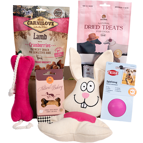 Valentine's Day Large Breed Box