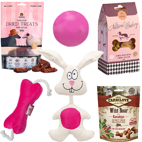 Valentine's Day Large Breed Box