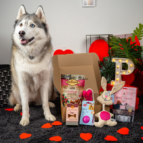 Valentine's Day Large Breed Box