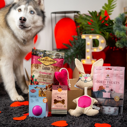 Valentine's Day Large Breed Box
