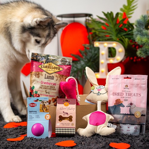 Valentine's Day Large Breed Box