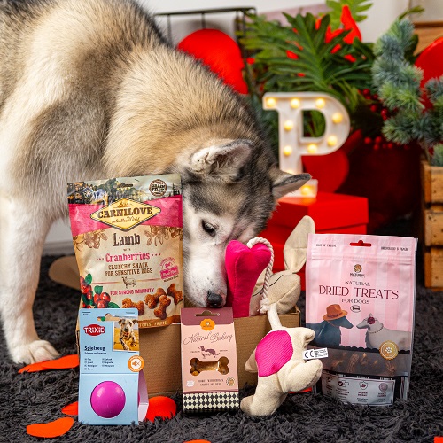 Valentine's Day Large Breed Box