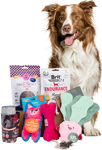 Valentine's Day Medium Breed Box