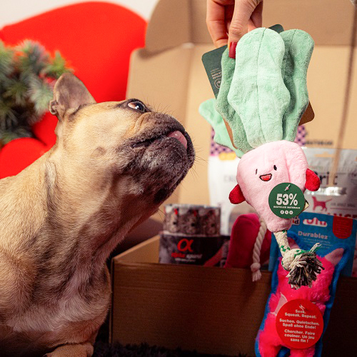 Valentine's Day Medium Breed Box