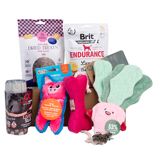 Valentine's Day Medium Breed Box