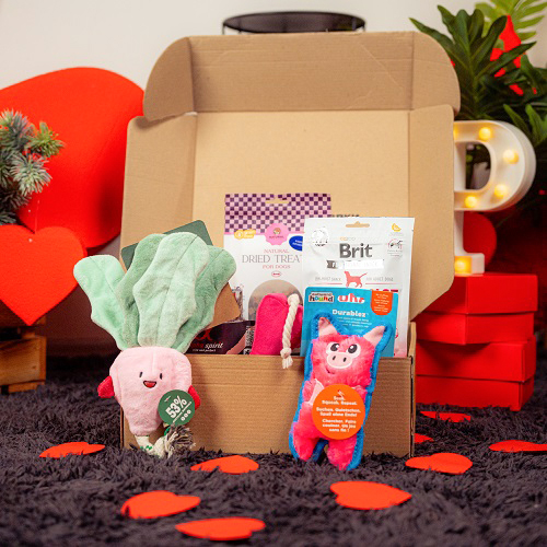 Valentine's Day Medium Breed Box