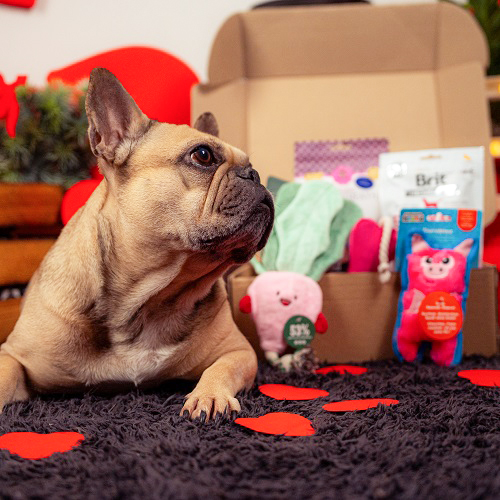 Valentine's Day Medium Breed Box