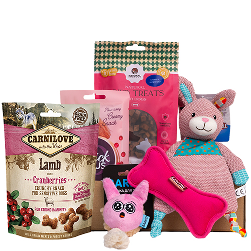 Valentine's Day Small Breed Box