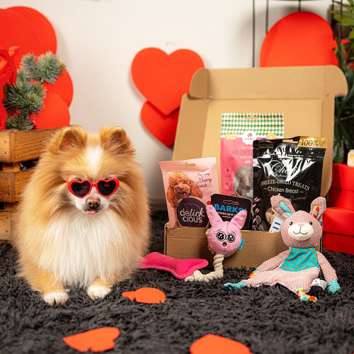 Valentine's Day Small Breed Box