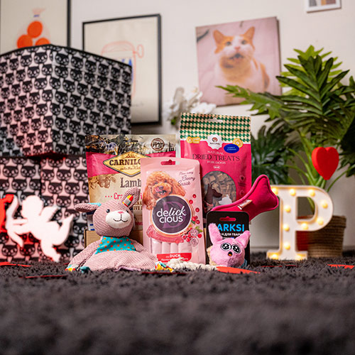 Valentine's Day Small Breed Box