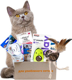 Present Cat Box