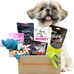 Present Small Breed Box