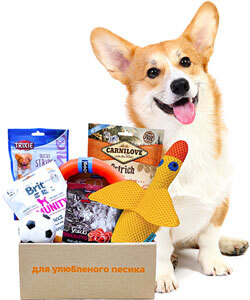 Present Medium Breed Box