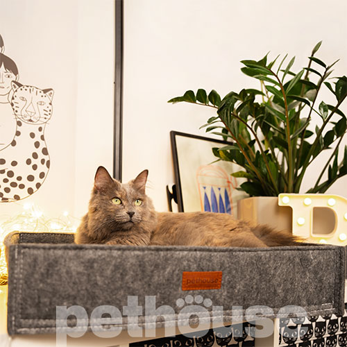 Pethouse Лежак Box для котів та собак, сірий, фото 5