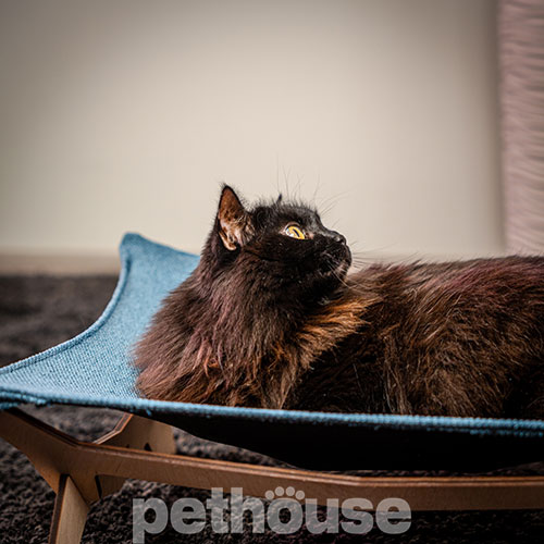 Pethouse Лежанка-гамак Sky для кошек, фото 10