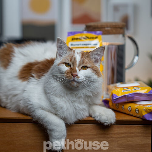 Pethouse Влажные салфетки для домашних животных