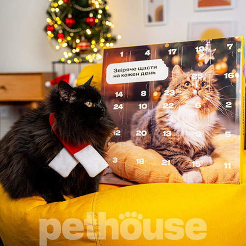 Pethouse Адвент-календарь для кошек