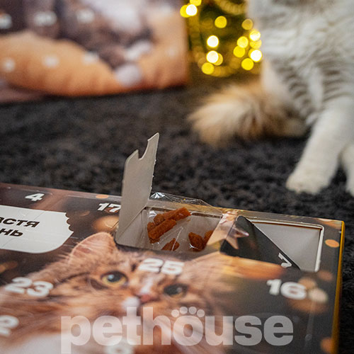 Pethouse Адвент-календарь для кошек