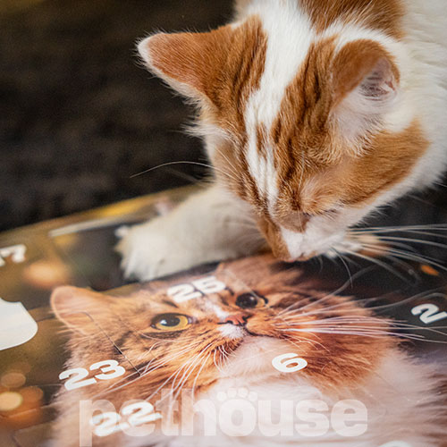Pethouse Адвент-календарь для кошек