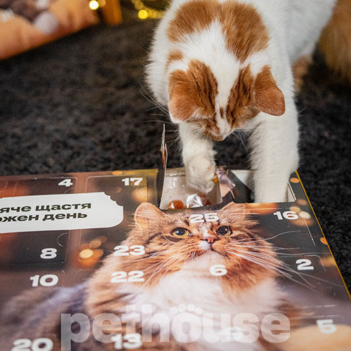 Pethouse Адвент-календарь для кошек